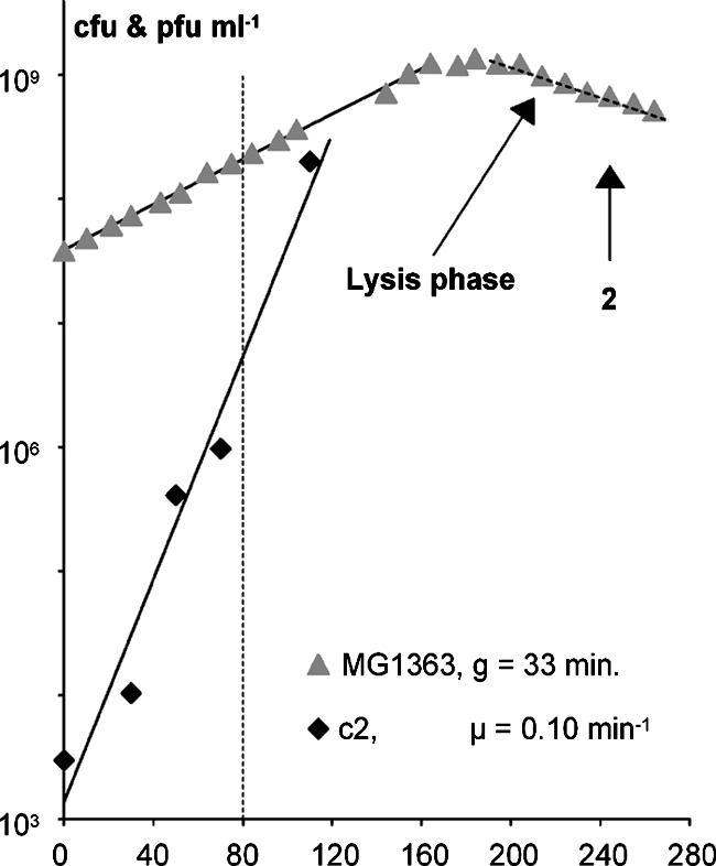 FIG. 2.