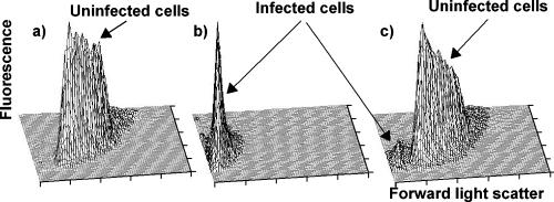 FIG. 3.