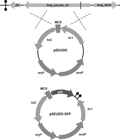 Fig. 1.