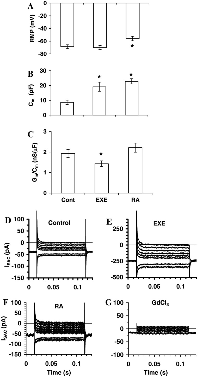 Fig. 6