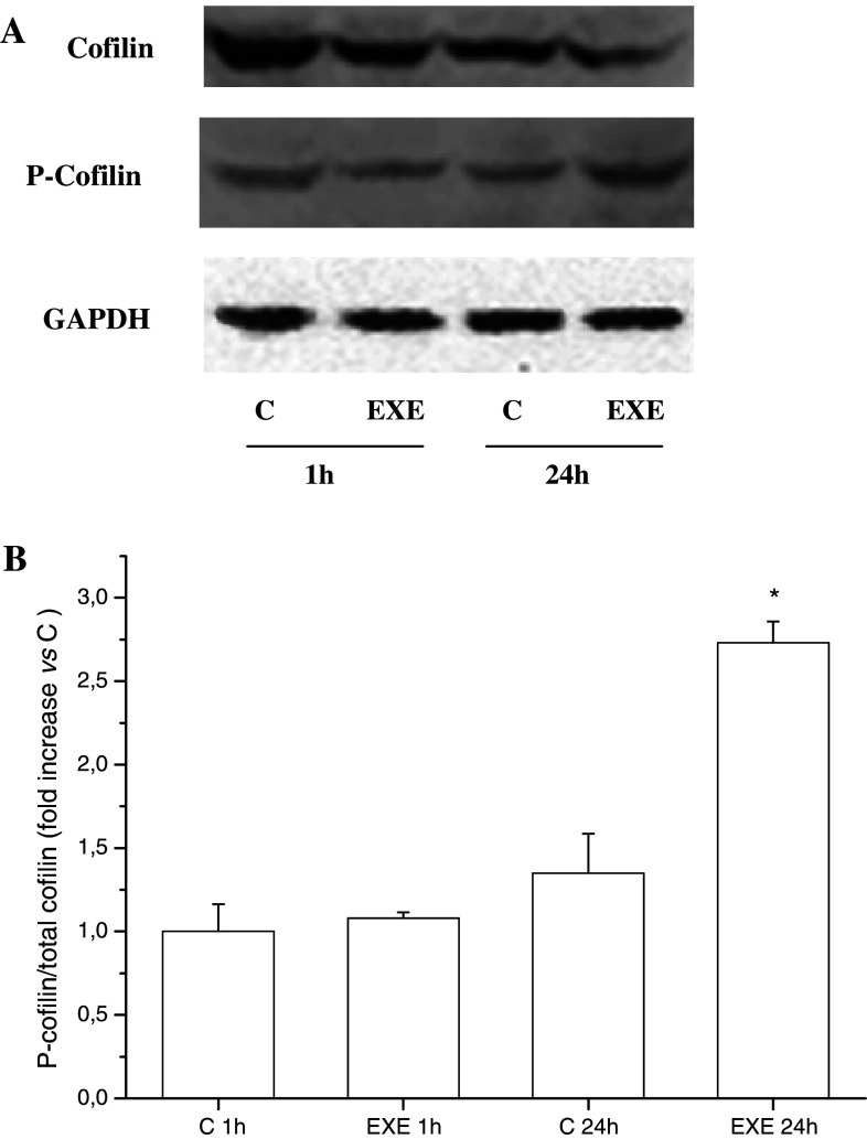 Fig. 4