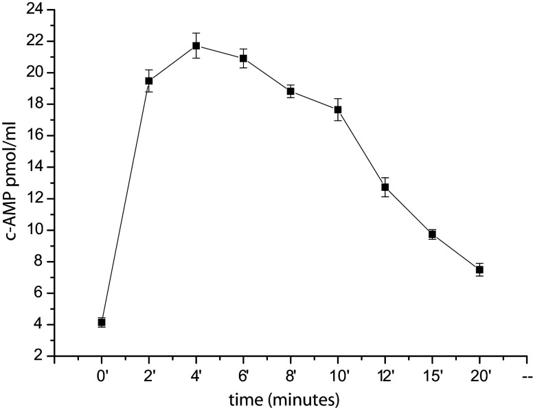 Fig. 1