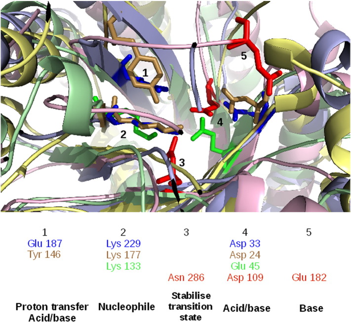 Fig. 8