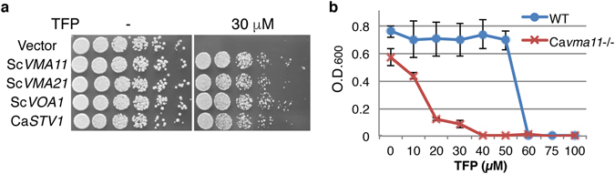 Figure 5