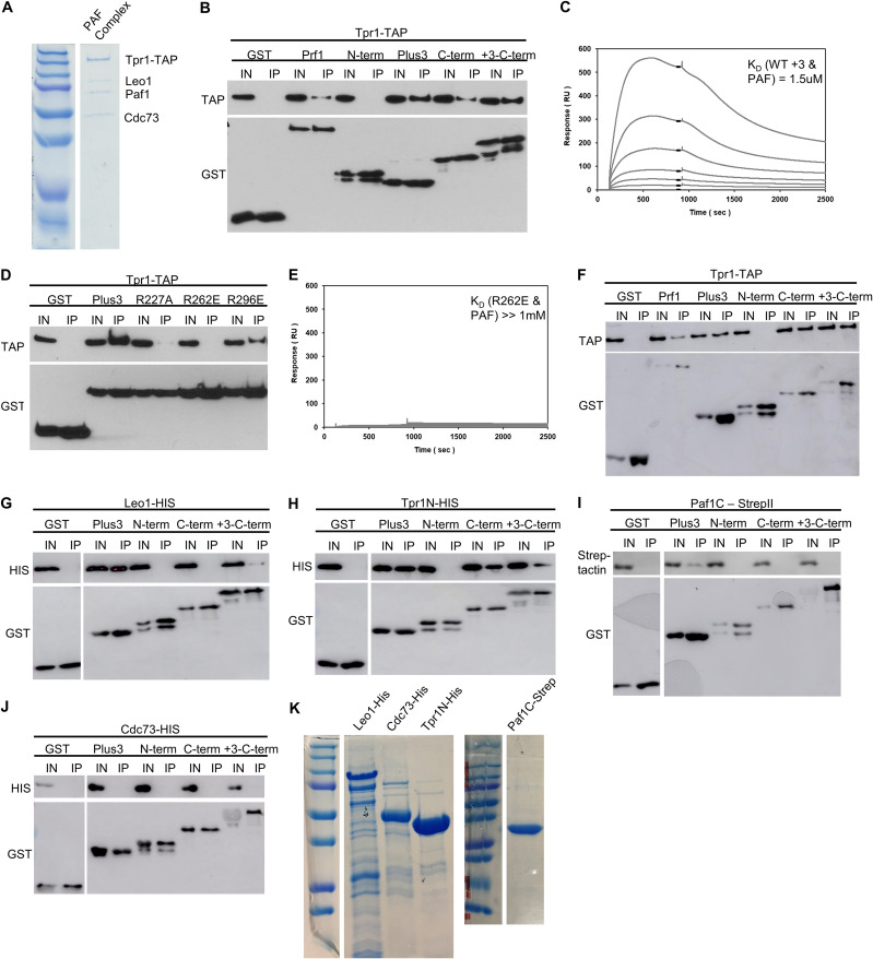 FIG 11