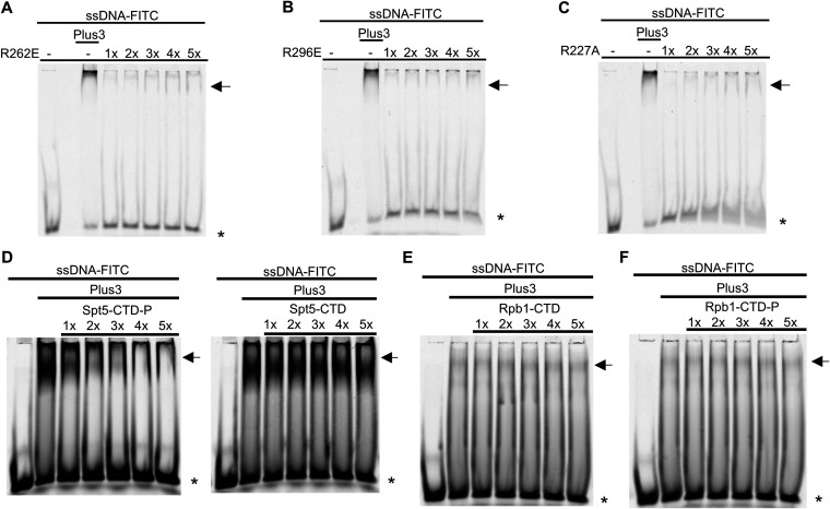 FIG 6