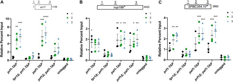 FIG 12