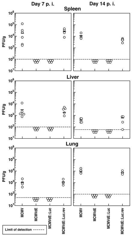 FIG. 6.