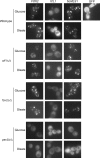 FIG. 6.