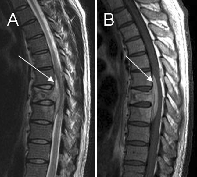 Fig. 7