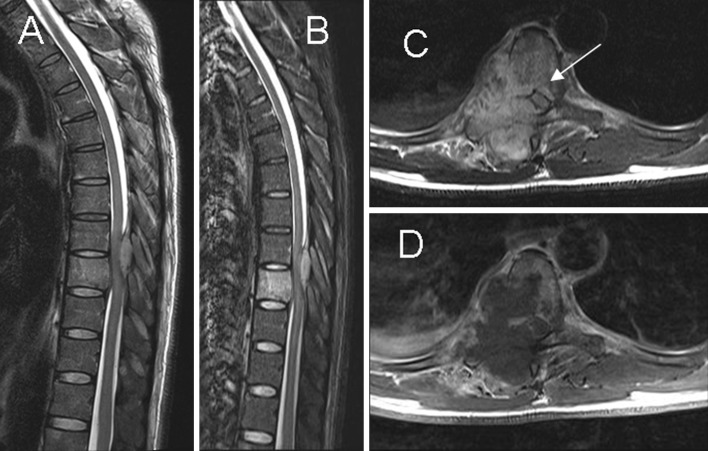 Fig. 4