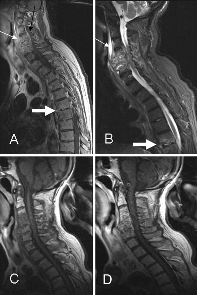 Fig. 9