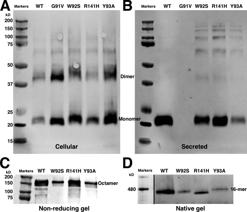 Figure 4.