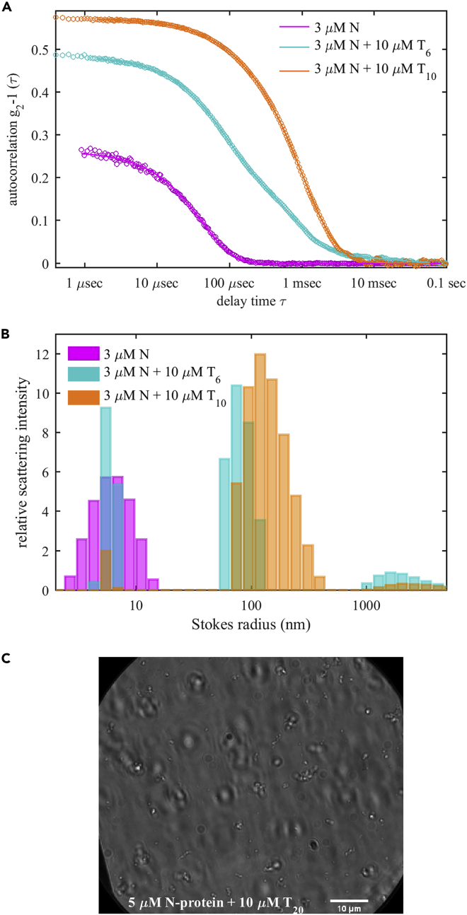 Figure 5