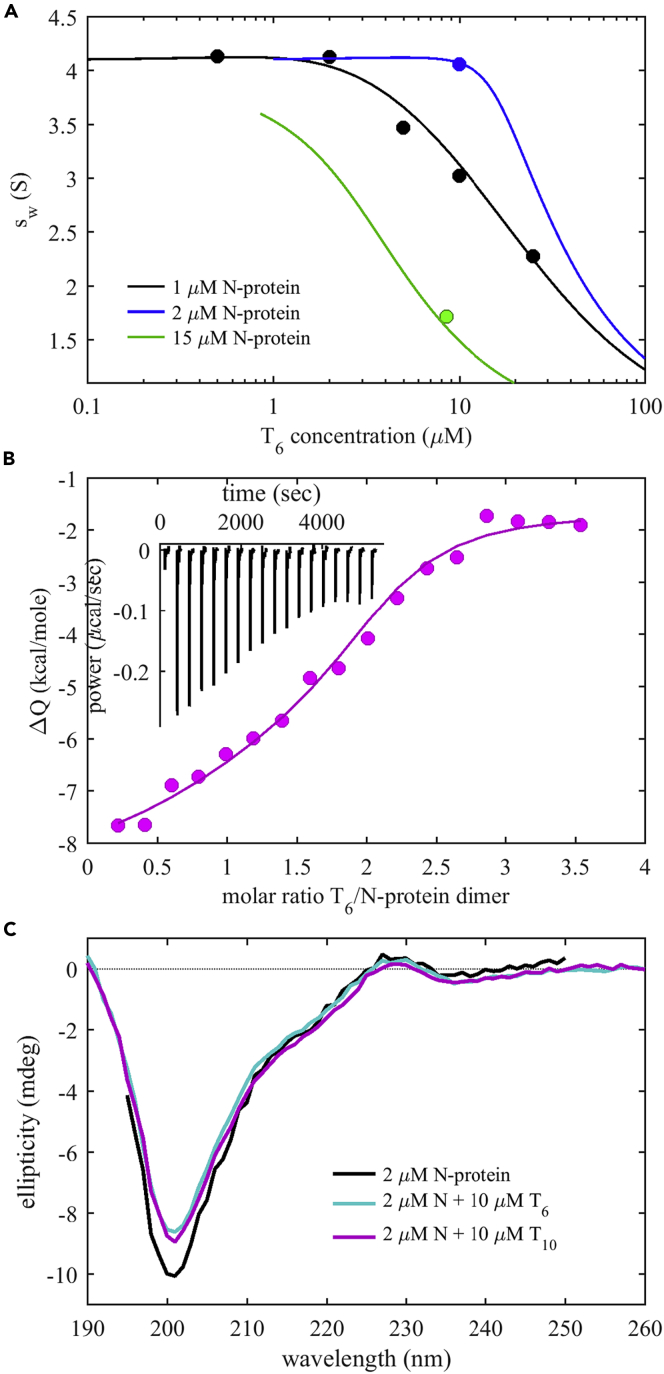 Figure 3