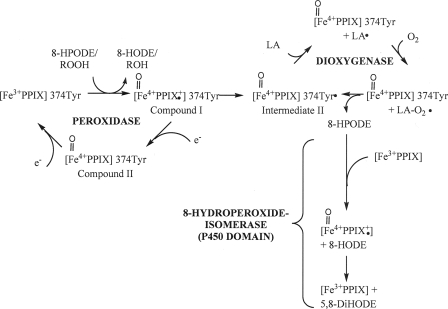 FIGURE 10.