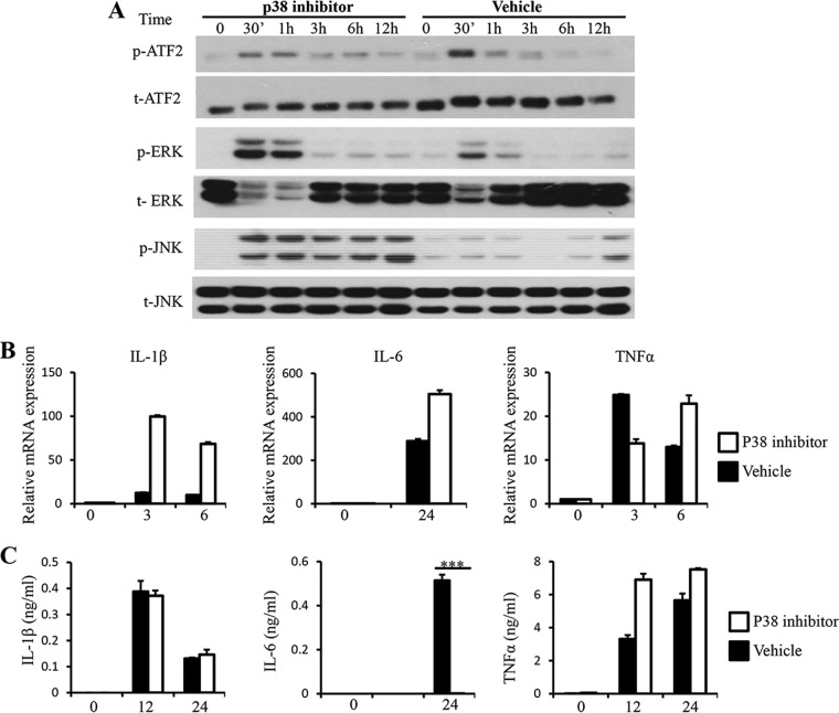 FIG 5