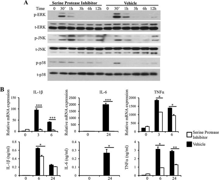 FIG 6