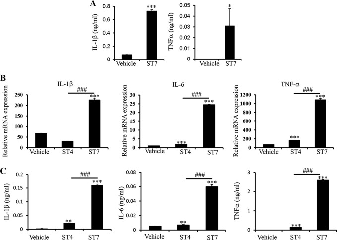 FIG 1