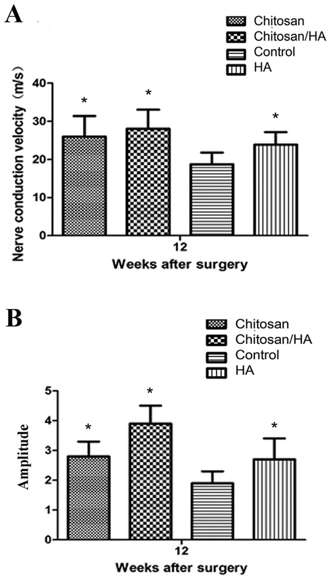 Figure 11.