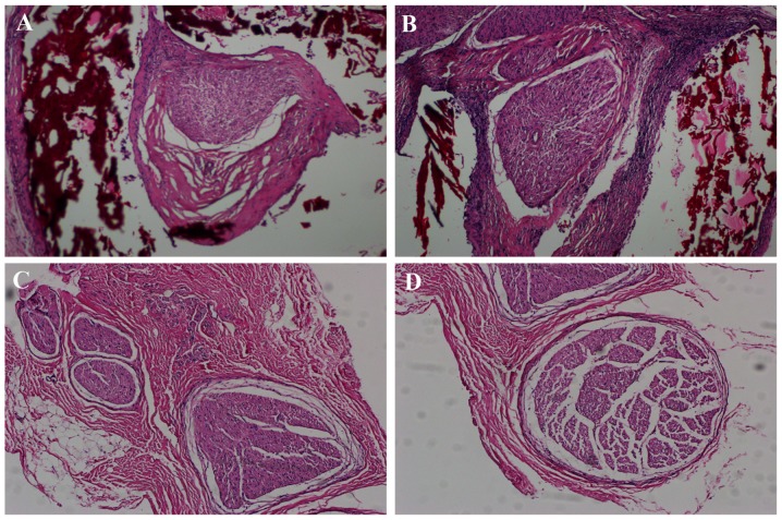 Figure 5.