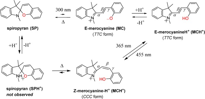 Scheme 2