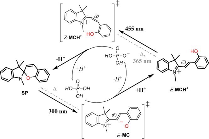 Scheme 6