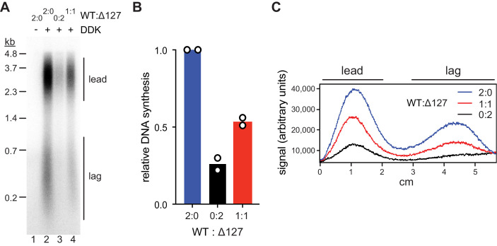 Figure 5.