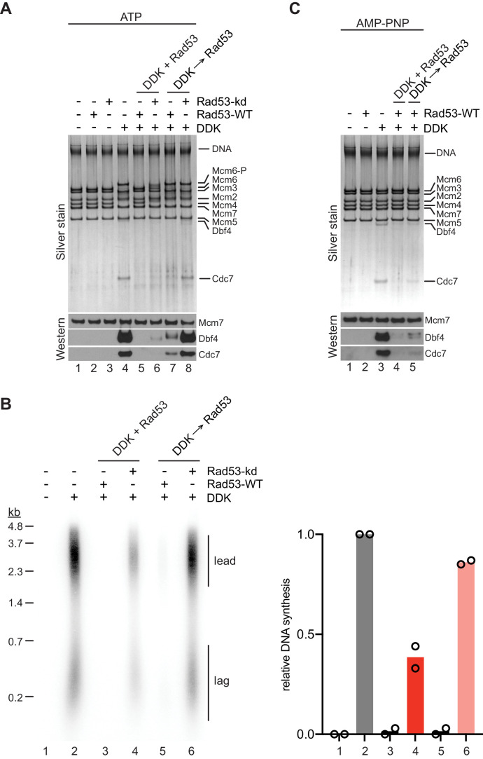 Figure 6.