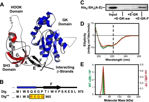 FIGURE 1.