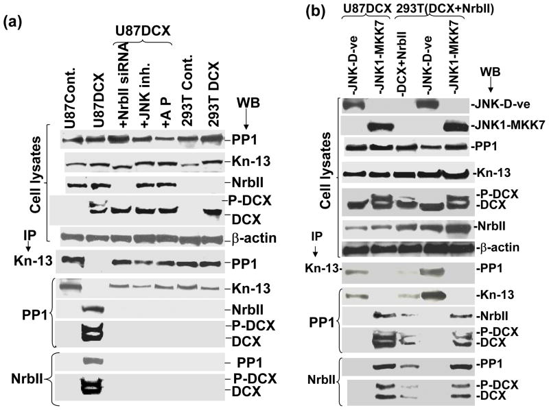 Fig. 9