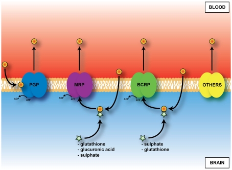 Figure 7