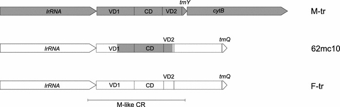 Fig. 3