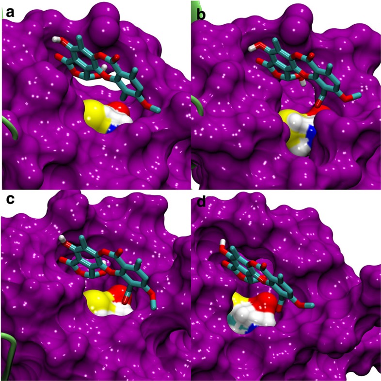 Figure 4