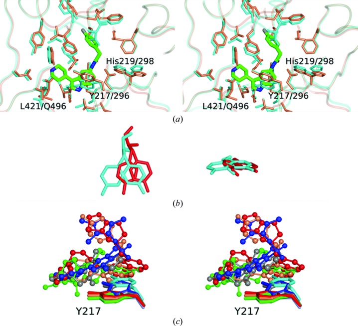 Figure 5