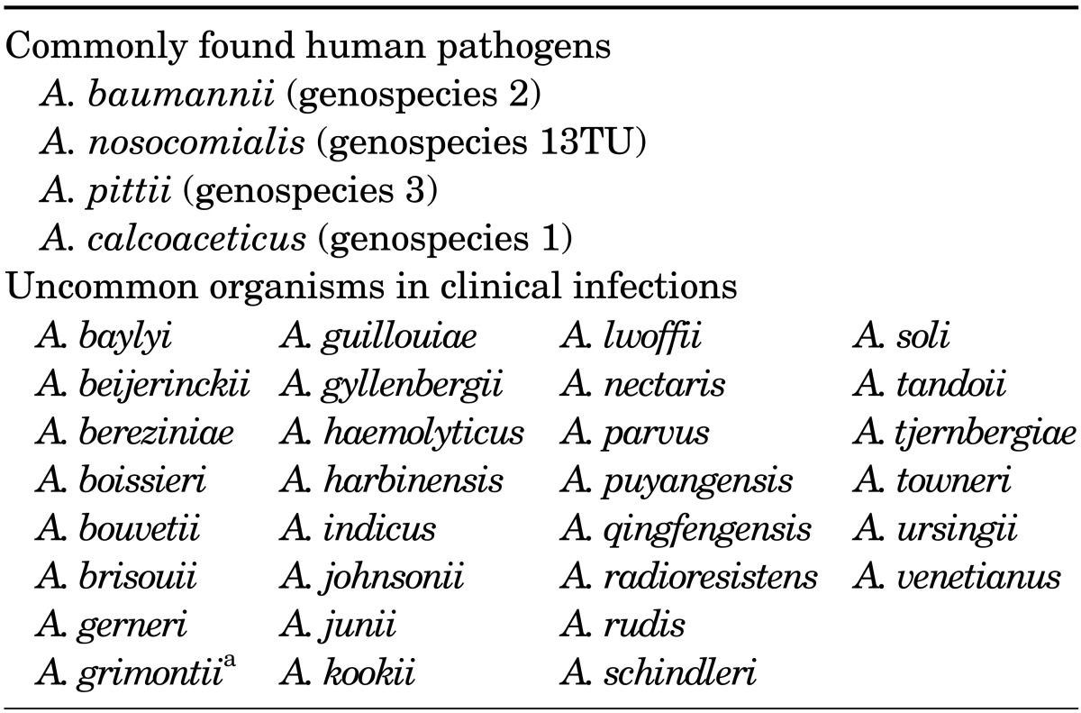 graphic file with name cmj-50-37-i001.jpg