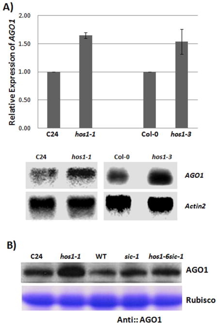 Figure 5