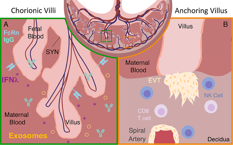 Figure 2: