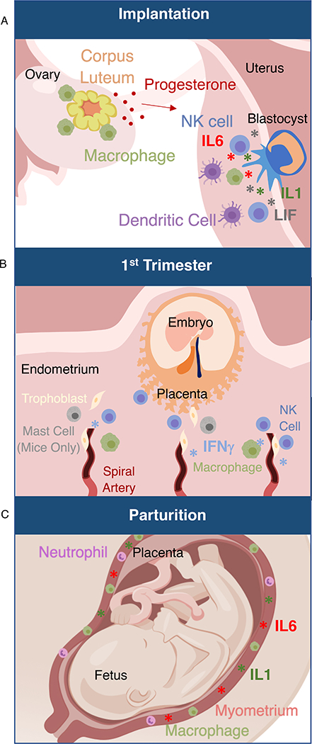 Figure 1: