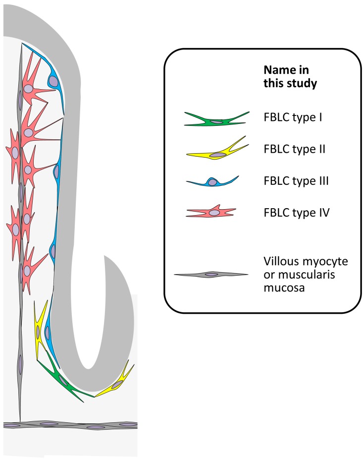 Fig. 8.