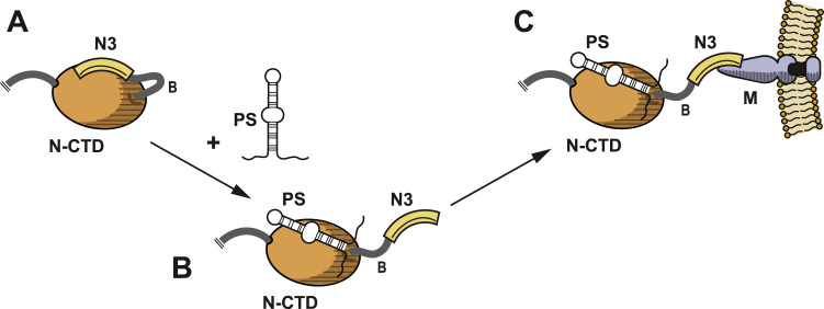 Fig. 4.