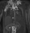 Fig. 5