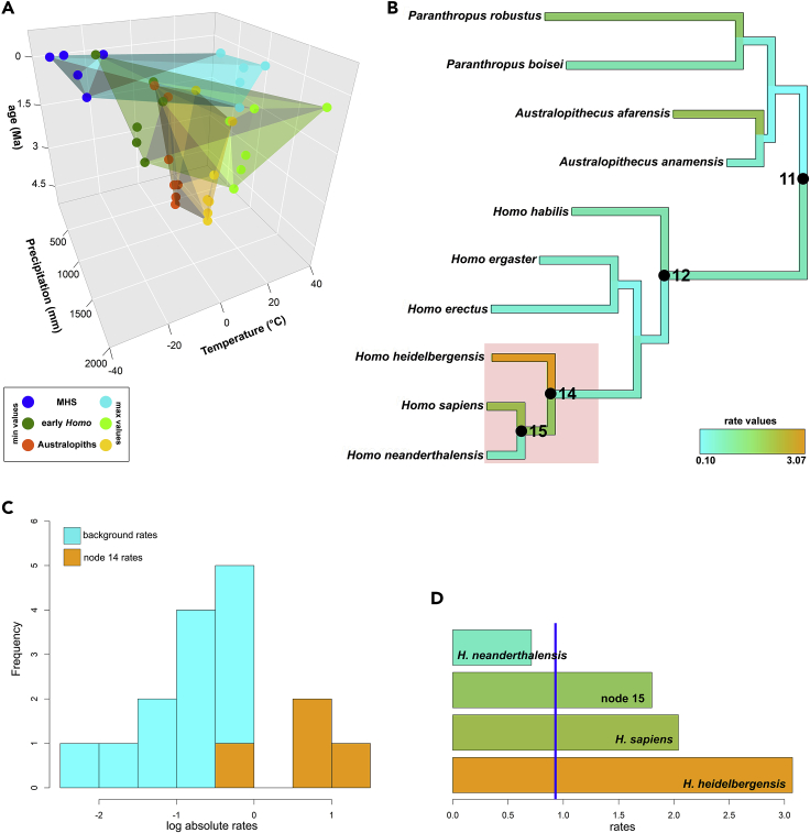 Figure 2