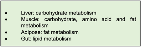 Box 3: Major metabolic roles of peripheral clocks