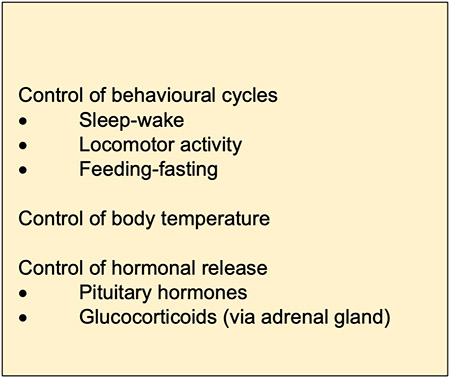 Box 1: Synchronising signals from brain to peripheral clocks