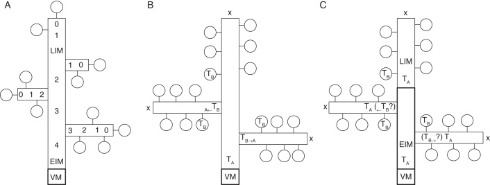 Fig. 6.