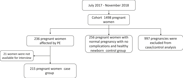 Figure 1