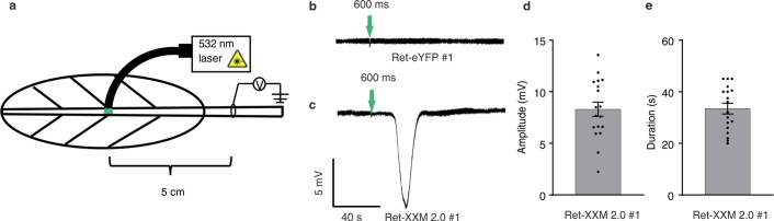 Extended Data Fig. 10