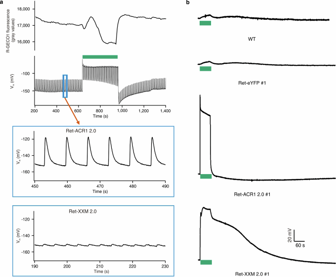 Extended Data Fig. 4
