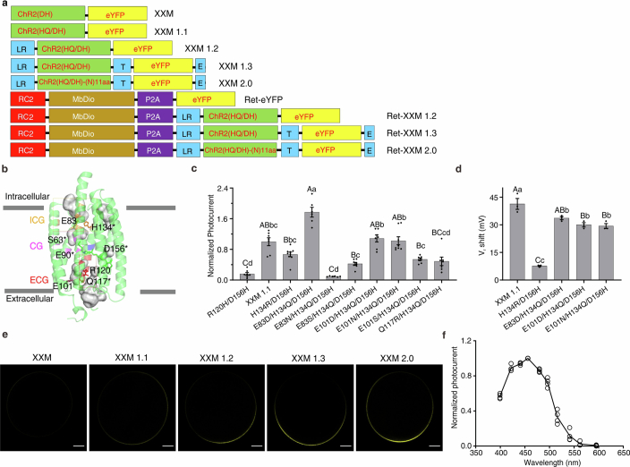 Extended Data Fig. 1
